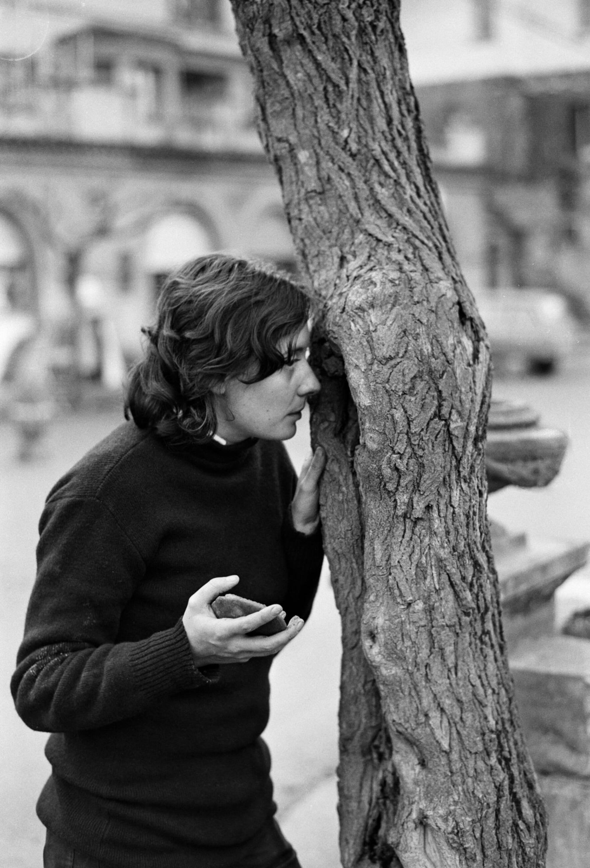 ‘L'arbre’, de Fina Miralles